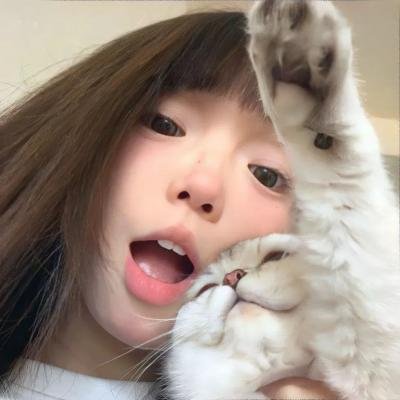 佳人战士效于飞